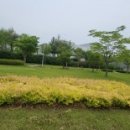 강당말공원 이미지