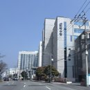 송도해수피아 | 【부산 송도】 송도 남항대교 오션뷰 찜질방 송도 해수랑 방문｜구 송도해수피아