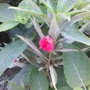 신길농장 이미지