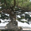 매산서원 이미지