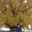 오렌지가정의원 이미지