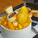 (주)티젤바이오 이미지