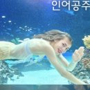 뀰아쿠아 네이버블로그