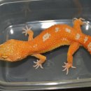 베스트 워시 이미지