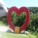 지리산허브벨리 이미지