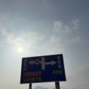 연세에너지(주) | 사십여덟번째 글, 공곶이수선화(feat. 수선화축제다음주방문후기)