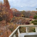 경상남도수목원전망대 이미지