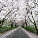 충훈2교 옆 이미지