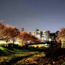 은하수초등학교 쪽 이미지