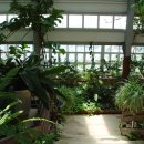 거제도애광원 이미지