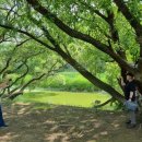 창녕여자고등학교 이미지