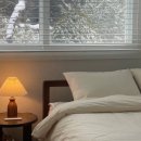 어느날성주 이미지