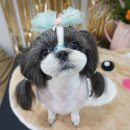 즐거운애견미용실 이미지