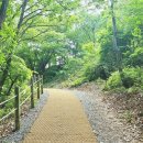 파주사 | 30개월 아이랑｜ 파주 2층 버스 투어 :: 마장호수 출렁다리