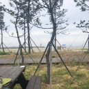 백도오토캠핑장 이미지