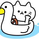 우도당구 이미지