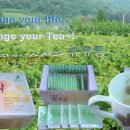 포토샵&그래픽 이미지