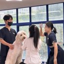 버블독스 가정루원시티점 이미지