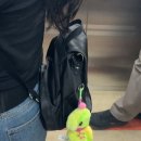일산 장난감할인매장 토이포커스에서 놈스터 키링 엔비 뽑은 후기