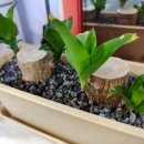 지지밍고 이미지