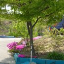 강릉충전소 이미지