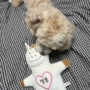 배곧누리초 #2 | #2. 나,,아기가 생겨버렸을지도,,(feat.리움산부인과)