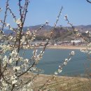 진월어린이집 이미지