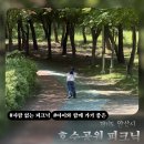 호수공원 2주차장옆 | 안산 호수공원 무료 주차장 위치 및 한적한 피크닉 장소 추천