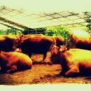 송촌2리 이미지