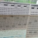 송화주공아파트앞 네이버블로그