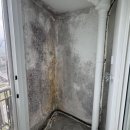 특허법인천지 - 강남구 논현로76길 24 | 베란다 곰팡이 제거 단열공사 최고네요!