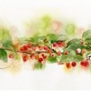 수채화(오후) 이미지