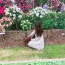 댕댕지구 이미지