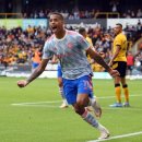 그린우드 이미지