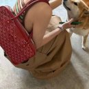 포이티