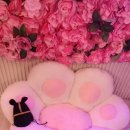 여수 도그펄슨 애견수영장펜션 이미지