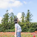 장기농약사 이미지