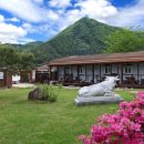 사과밭스테이 이미지