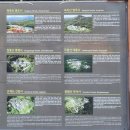 순천-62호 | 공주 마곡사 한국의 산지승원 유네스코 세계문화유산/ 역사공부와 함께 떠나보는 가을여행 공주