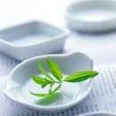 천연화장품&비누 이미지