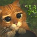 스타일헤어존 이미지