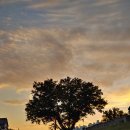 오하당구장 | 수원 화성행궁 맛집 : 화덕피자 원톱, '라비아 La Via'