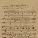 월광음악학원 이미지