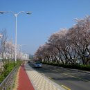 가곡강변로 이미지