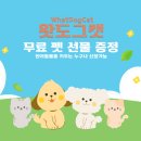 캣도그 이미지