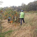 고무신농원 이미지