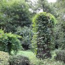 마가미술관 이미지