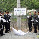 내태2리 뉴시스