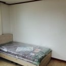 서림동-37 Daum카페