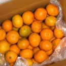 세븐일레븐 망원제일점 | 내일이 내년이래요 | 12월 월기 ☃️🧆🎄📚